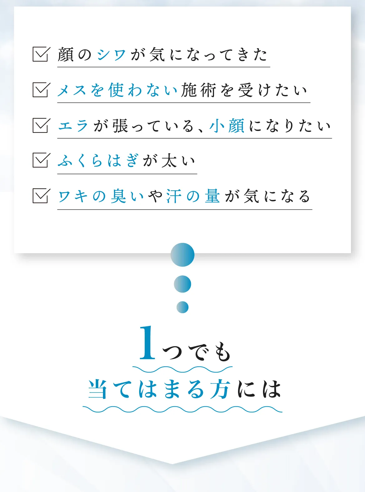 顔のシワ／メスを使わない施術を受けたい／エラが張っている、小顔になりたい／ふくらはぎが太い／ワキの臭い、汗の量