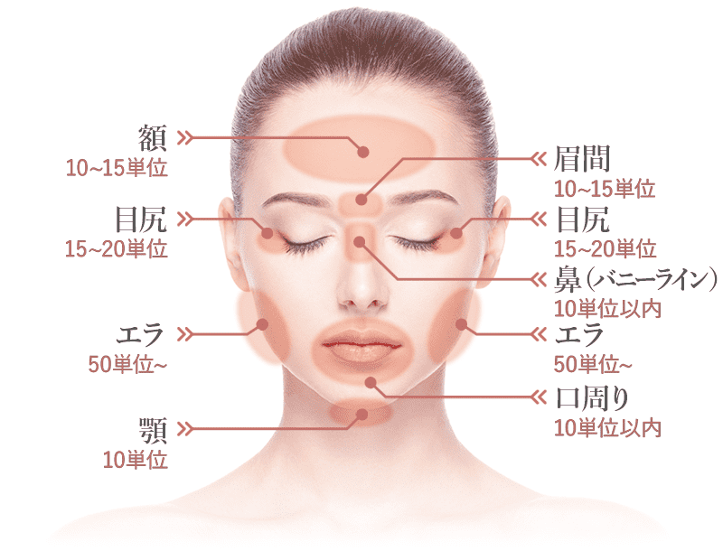 部位ごとの注入量